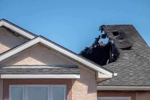 Top rated local Odor Removal specialists in Minnetonka, MN